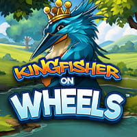 Kingfisher on Wheels in fb_new1