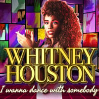 Whitney Houston I Wanna Dance with Somebody in All Games