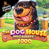 The Dog House Megaways 1000 in DropsandWins