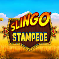 Slingo Stampede in fb_slingomania