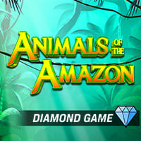 Animals of the Amazon in All