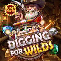 Digging for Wilds in All Games