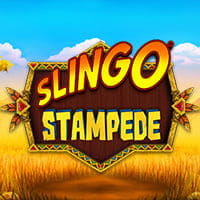 Slingo Stampede in fb_slingomania